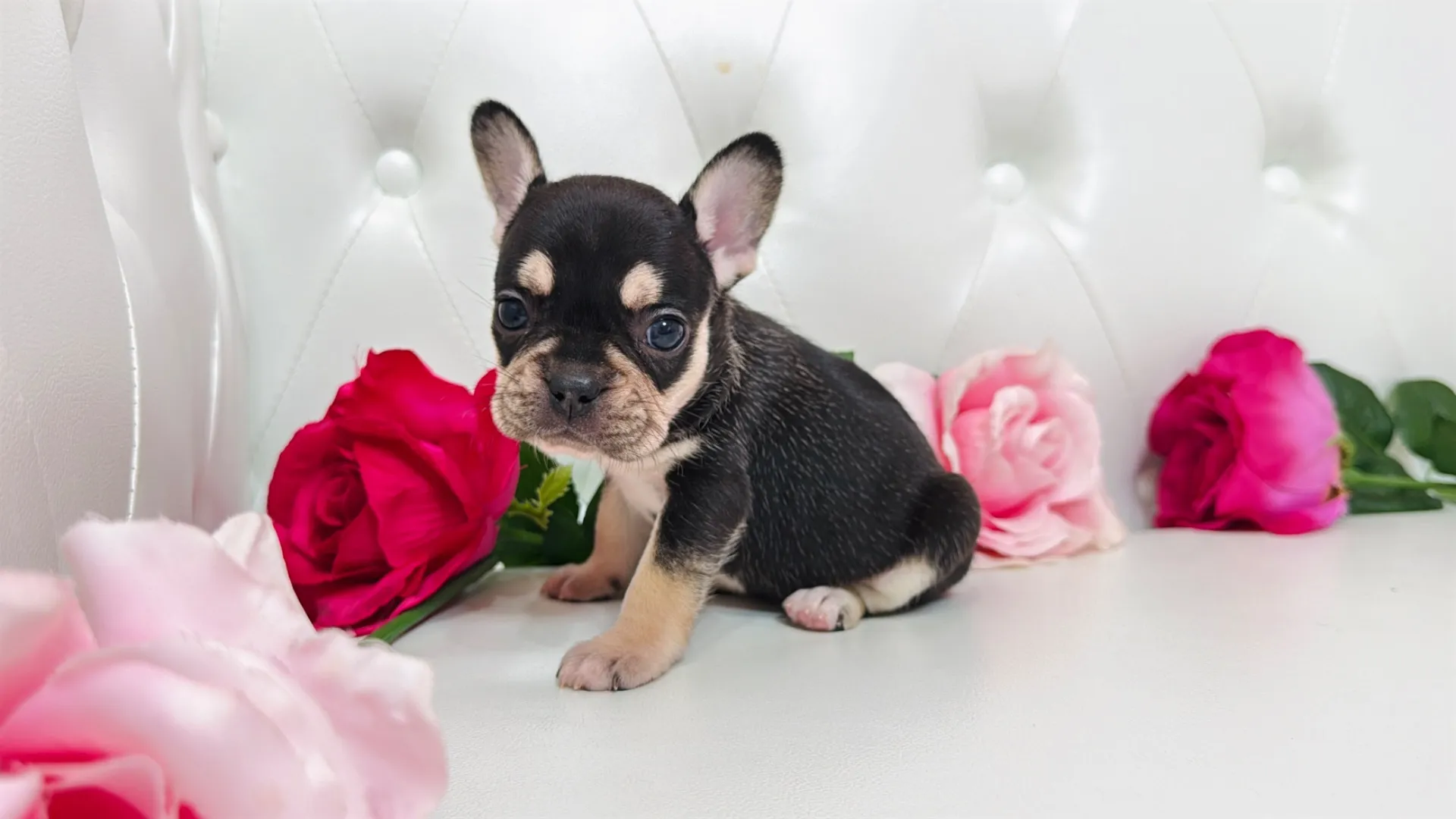 20260626163653_1.jpg