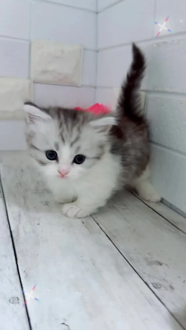 こんにちは、みなさん〜☀️